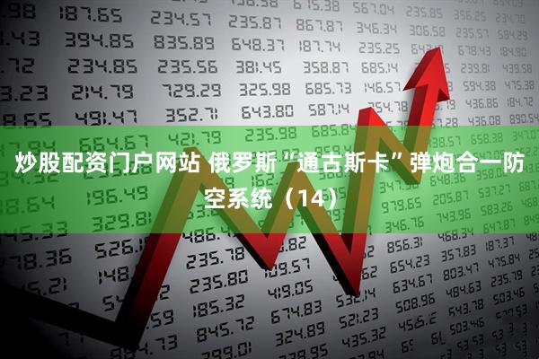 炒股配资门户网站 俄罗斯“通古斯卡”弹炮合一防空系统（14）